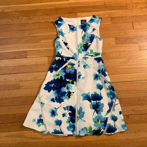 Adrianna Papell White Dress with Blue Floral Print